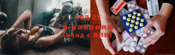 мяу мяу мука Алзамай
