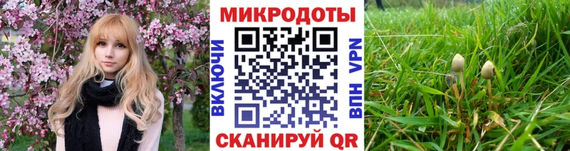 Галлюциногенные грибы прущие грибы  Петушки 